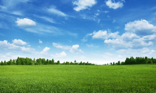 A vibrant green landscape with blue sky and clouds. In the distance there are rich green trees