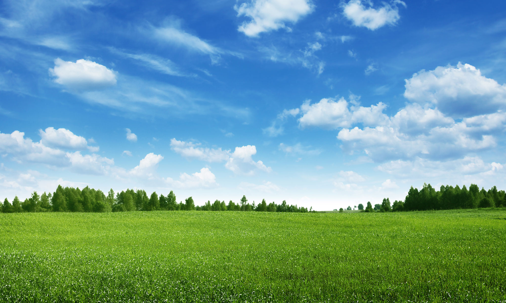 Photo inspiration: Picture Idea: Creating An Energy Efficient Landscape