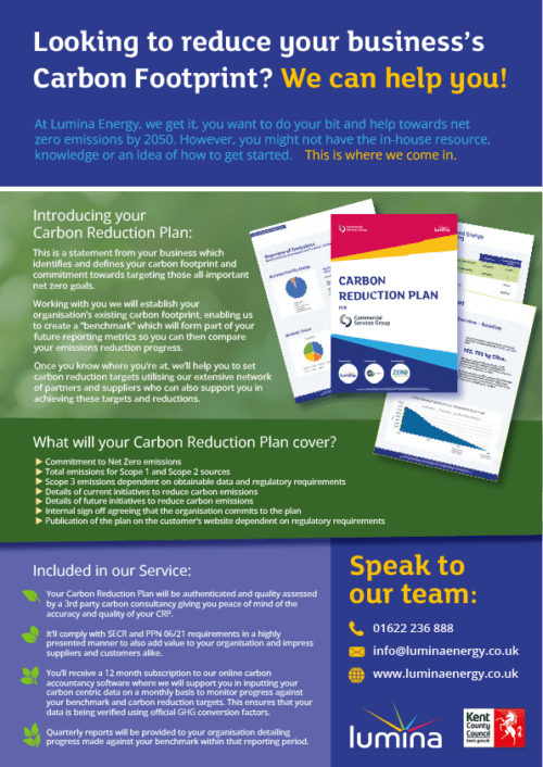 One page information sheet detailing information about Lumina Energy's carbon reduction plan.