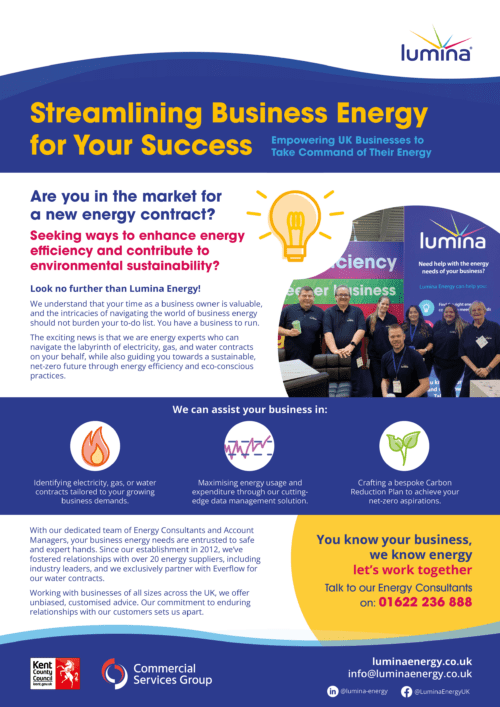 One page introduction document about Lumina Energy, it includes information about who we are and a picture of some of our team members.